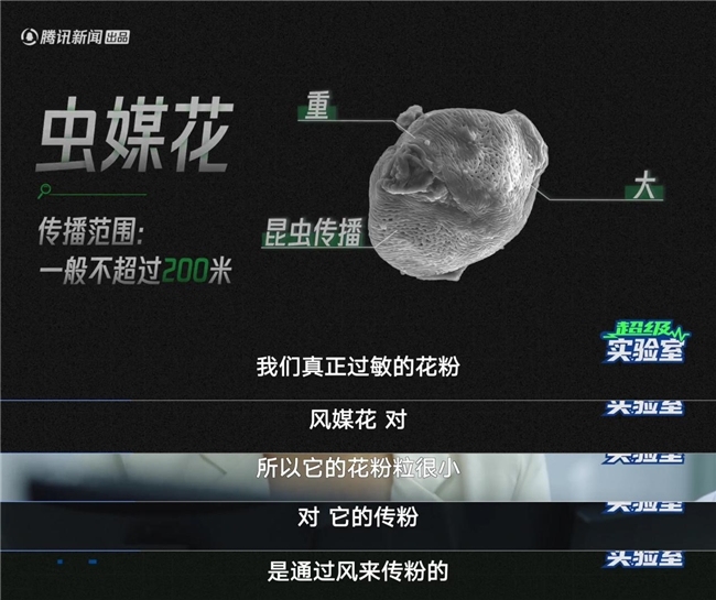 正视鼻敏感,享呼吸自由|《超级实验室:解密春日鼻敏感》重塑过敏科学认知