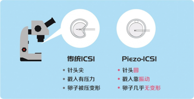 5月8日日本英医院专家见面会丨领先世界的IVF技术&养卵秘籍！