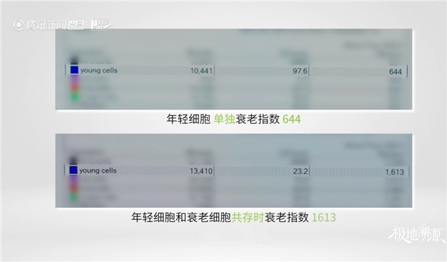 杨澜走进漠河，一场关于“中国成分”的极地溯源