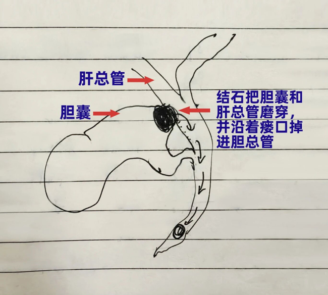 微信图片_2026-05-23_084648_507.jpg