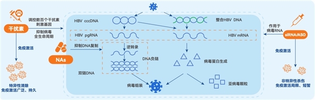 “新药再好,离我还远?”乙肝“难治人群”的曙光到底在哪?