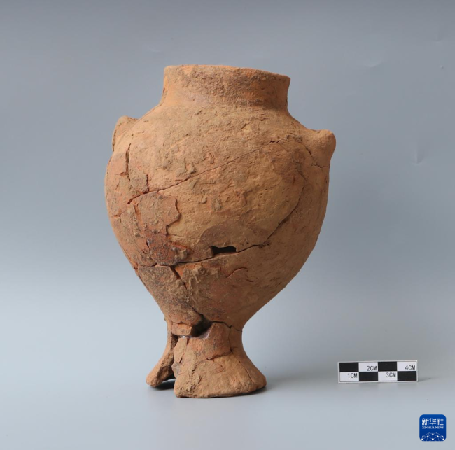 红曲霉|8000年前的裴李岗人已用红曲霉酿酒