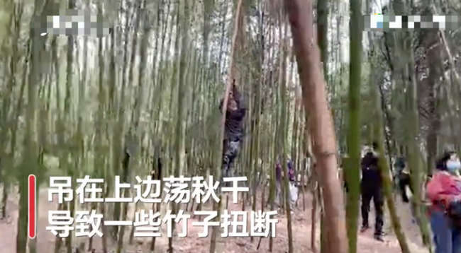 少林寺竹林被上百游客刻字，还有人吊在上边“荡秋千”！网友怒了