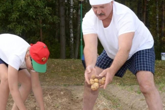 卢卡申科带土豆访华的深意与情怀 外交中的务实之举