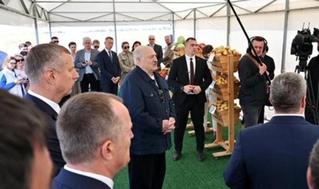 卢卡申科带土豆访华的深意与情怀 外交中的务实之举