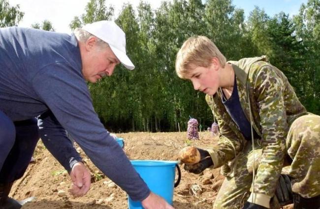 卢卡申科带土豆访华的深意 农业合作新契机