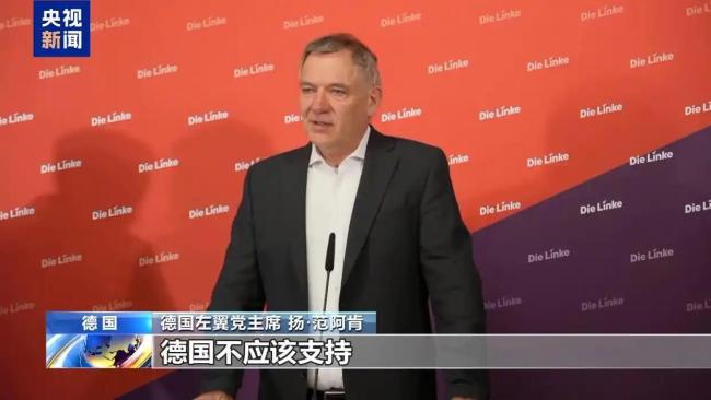 德左翼党主席呼吁对以施压 推动落实“两国方案”