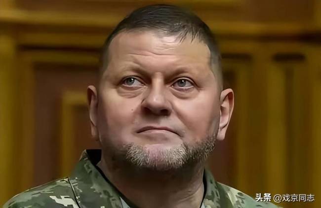 扎卢日内民调支持率超越泽连斯基