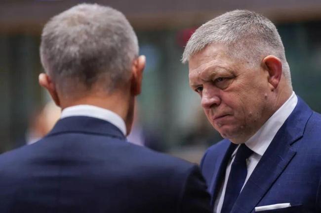 这两个欧盟成员国对乌出手了