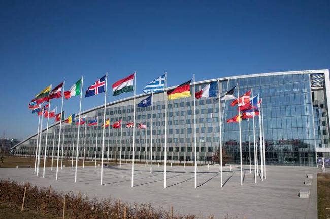 北约秘书长：“期待未来几天内在北约总部升起芬兰国旗”