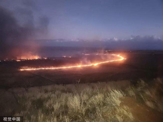 夏威夷山火已致93死，居民质问：政府在哪儿