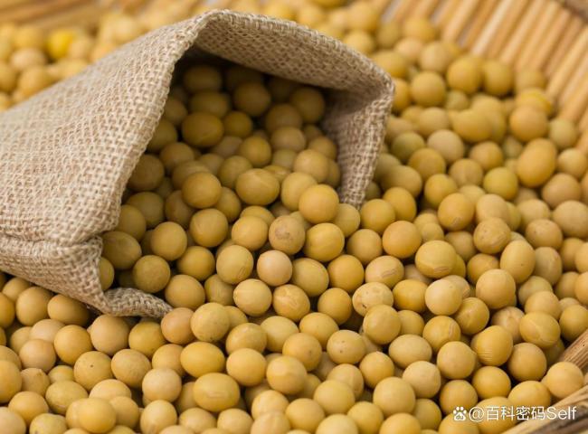 博主：石破茂欲改变美日不对称关系！