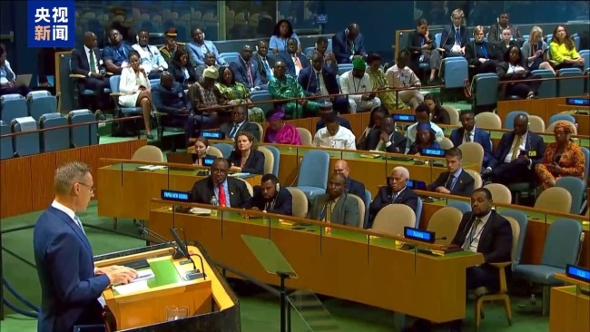 多国在联大呼吁加沙永久停火 落实“两国方案”