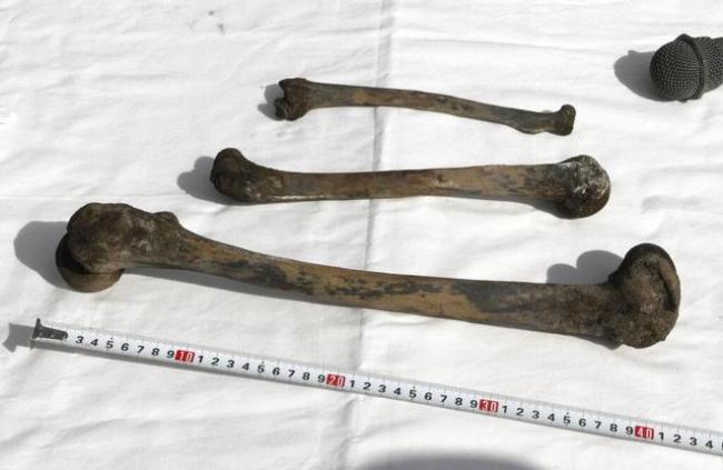 日本海底煤矿发现遗骨,83年前百余名韩国强制劳工葬身此处