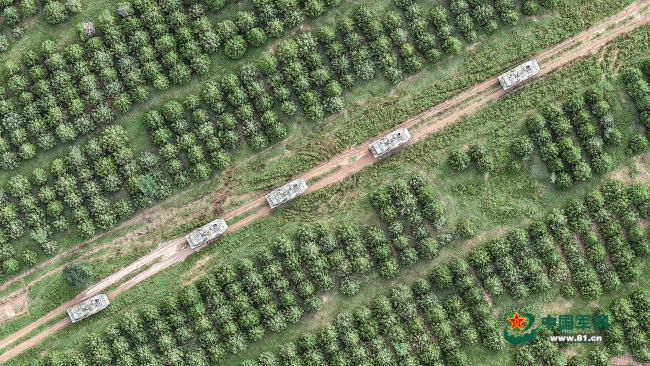 陆军某旅炮兵分队实战化训练影像