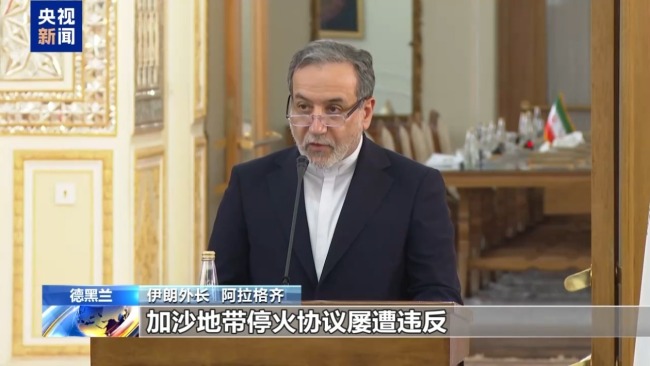 伊土两国外长：地区国家应共同应对以色列侵略扩张