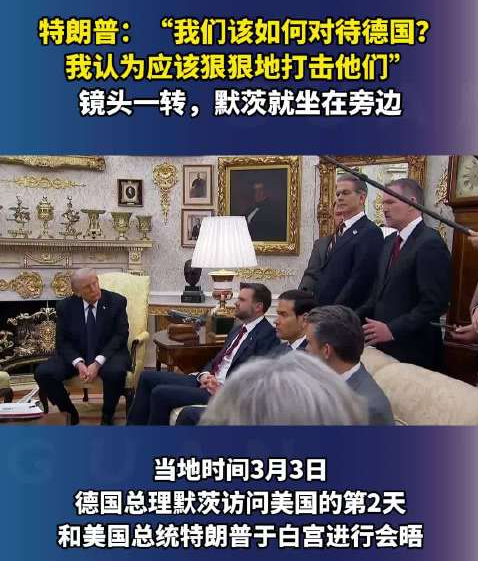 特朗普当默茨面谈打击德国 默茨在场未回应