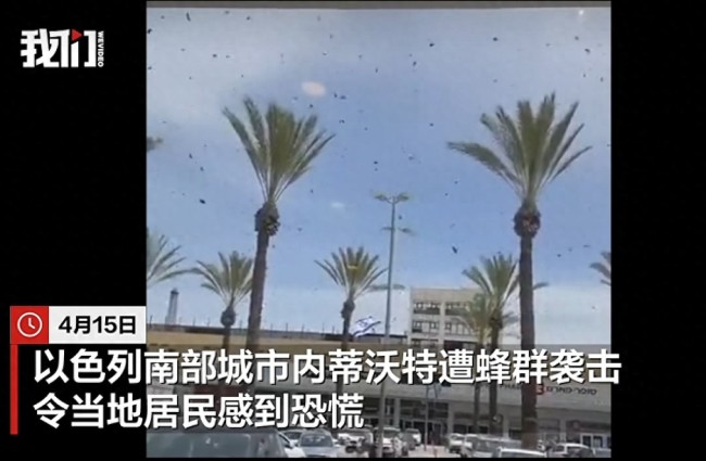 大规模蜂群突袭以色列！