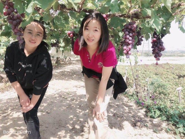 葡萄种植基地的“女掌门”成了创业扶贫的“冠军”