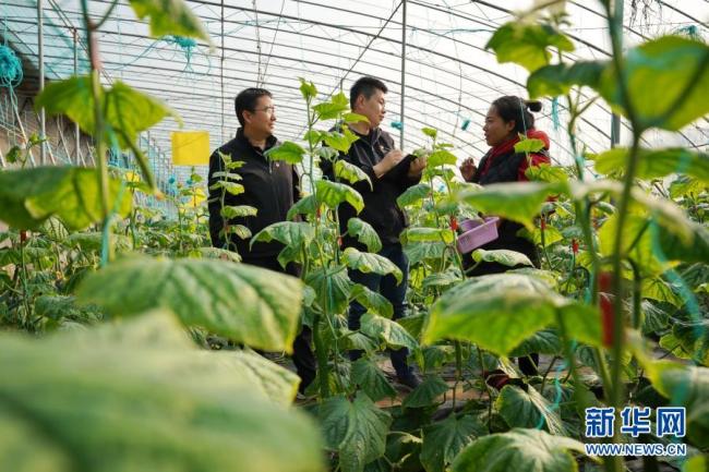 深化自我革命 不负百年华章——写在十九届中央纪委五次全会召开之际