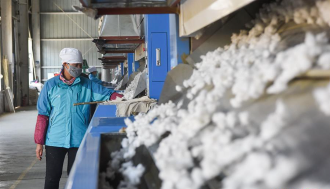 工人在轧花车间忙碌。(图源:新华网)