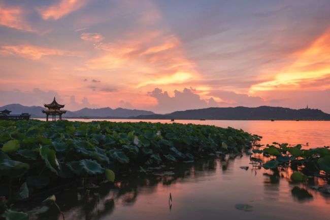 △浙江杭州西湖|图源：视觉中国