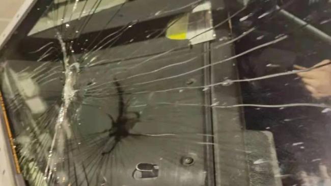 晚报|美国驻华使馆道歉 第二只金钱豹被麻醉捕获