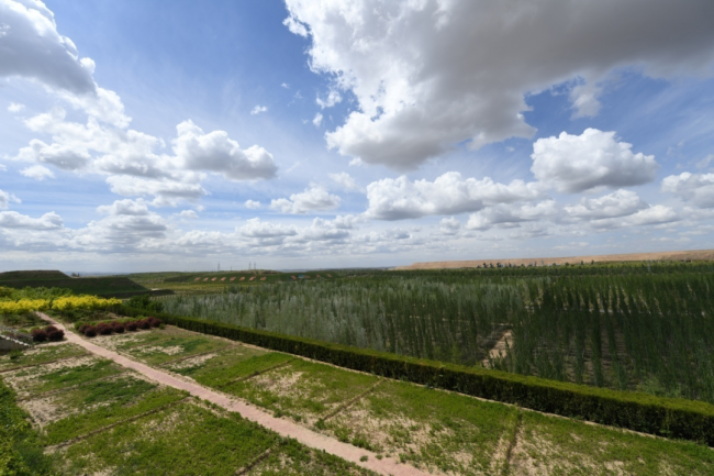 内蒙古涉煤腐败倒查20年：立案987人，厅局级62人