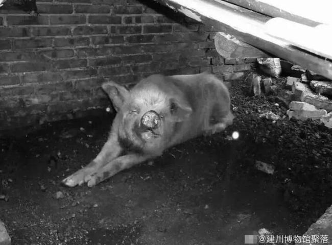 晚报|中国人首次进入自己的空间站 赵立坚六问美国