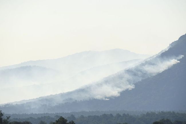 法国森林火灾过火面积超2000公顷 大批消防员出动救援