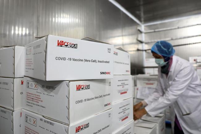 全球连线 | 年生产2亿剂！探访埃及本土化中国新冠疫苗工厂