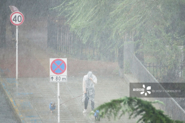 大连遭遇强风雨