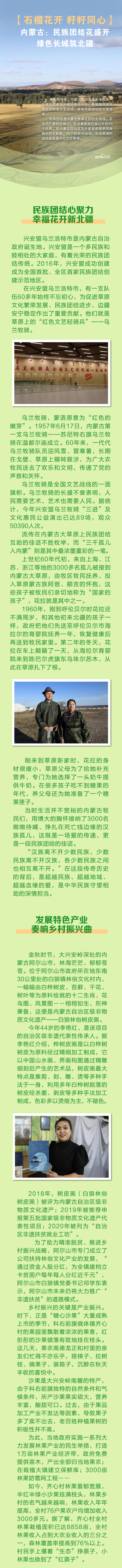 【石榴花开 籽籽同心】内蒙古：民族团结花盛开 绿色长城筑北疆