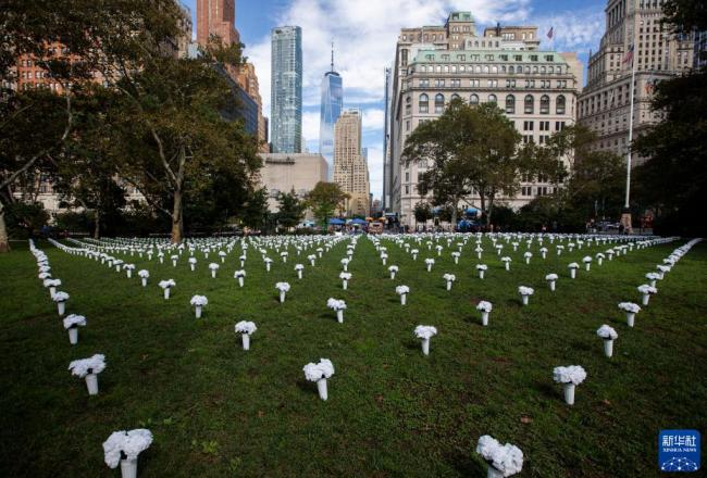纽约：白色瓶花悼念枪支暴力遇难者