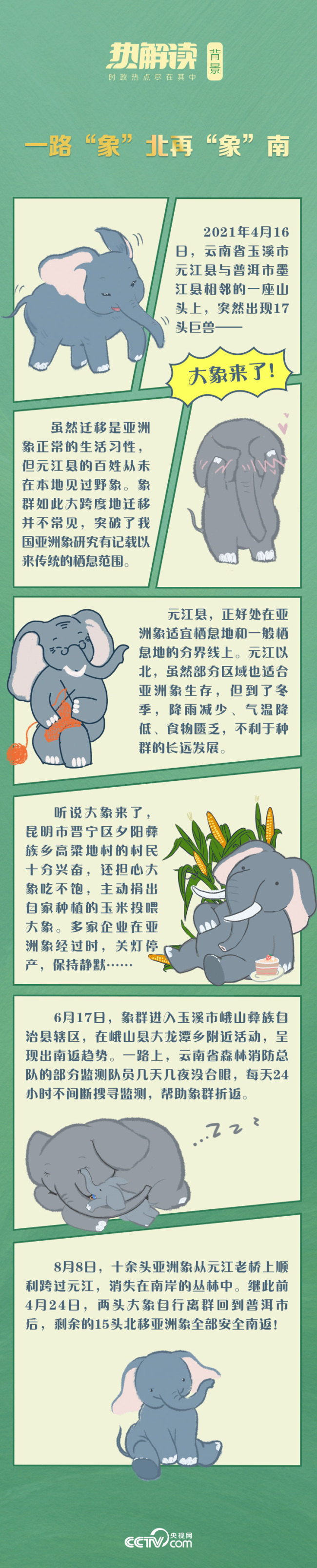 热解读｜这个重要国际会议上 习近平讲到云南大象的故事