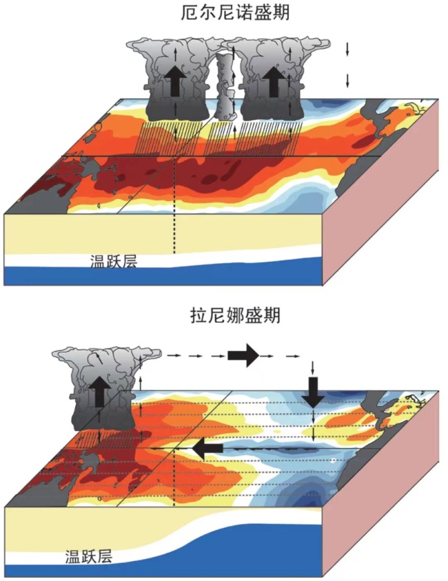 拉尼娜事件将形成！今冬我国偏冷概率增加