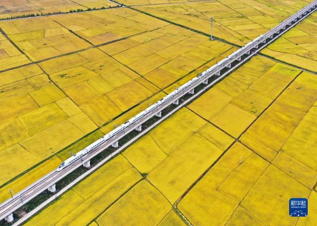 9月19日，高铁列车从吉林省公主岭市沃野间驶过（无人机照片）。新华社记者 张楠 摄