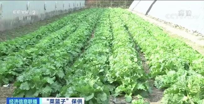 蔬菜“断茬”掀涨价潮 现已冲高回落