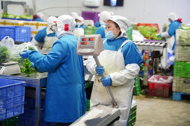 进出京新规首日丨平谷马坊物流基地:果蔬冷链四次消杀方可入库