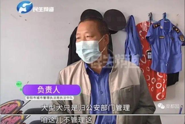 河南安阳“狗伤人”事件涉事人王某被停职