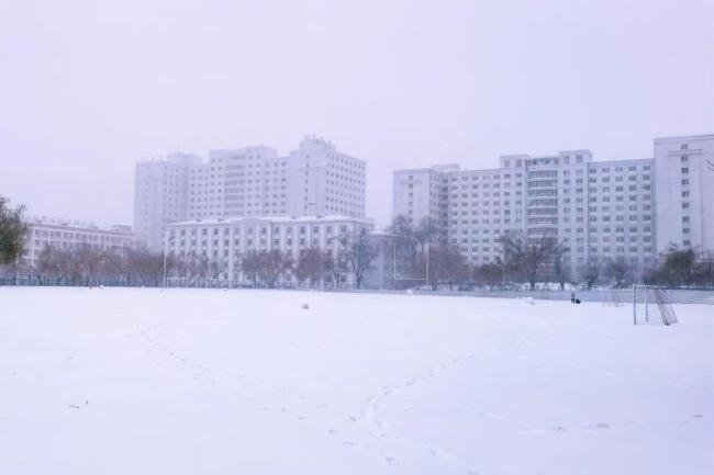 东北再遭大暴雪！黑龙江局地积雪已达34厘米！