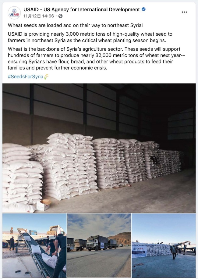 美机构向叙利亚发放千吨麦种 叙农业部：4成有虫病