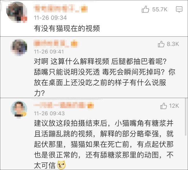 新一轮争议！群演称猫被电死 《当家主母》剧组报案