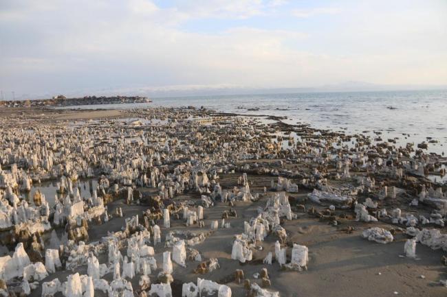 土耳其凡恩湖水位降低 露出奇形怪状的微生物岩