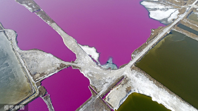 2021年1月2日，山西运城，古老盐湖部分水域呈现玫瑰红，亮丽颜色为新年添彩（无人机照片）。