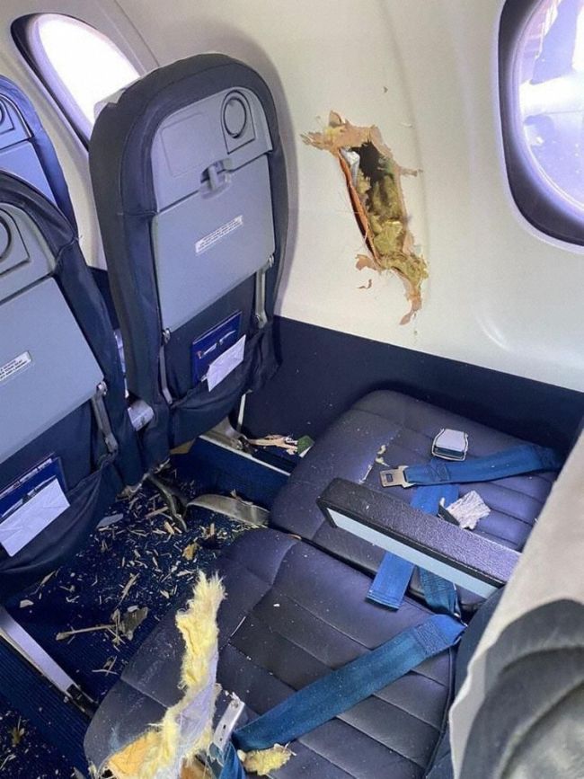 南非航空一飞机与大鸟相撞:窗户被打碎 舱内有羽毛