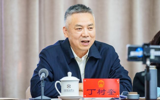 市人大代表丁树奎：将借助轨道交通建设，探索核心区城市更新改造