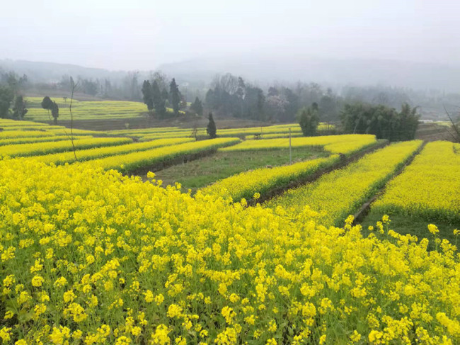 微信图片_20220108170102.jpg?x-oss-process=style/w10