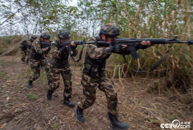 武警官兵实战化训练锤炼过硬本领