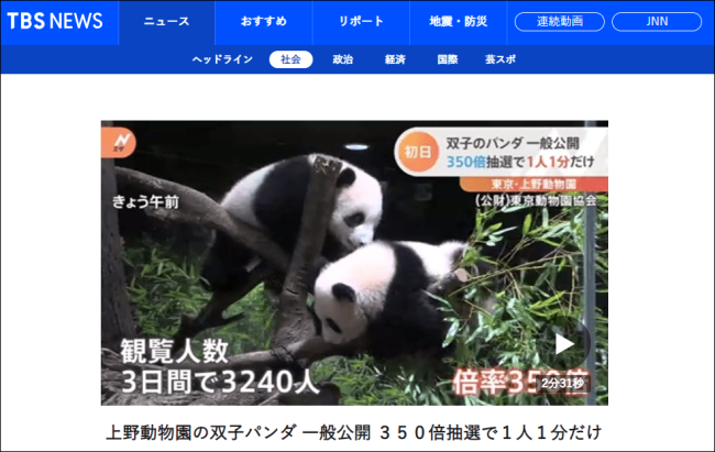 日本民众见这对大熊猫得抽签 中签率1/348